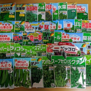 【野菜・花の種】90種類から6種類を選んで300円!!　家庭菜園に(野菜)