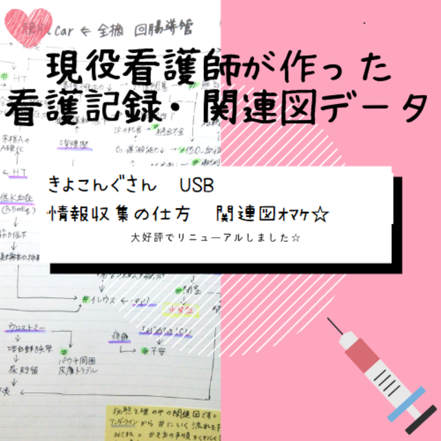 Usb 情報 関連図 看護計画 看護記録 看護実習 アセスメント ななえるの通販 By ななえる ラクマ
