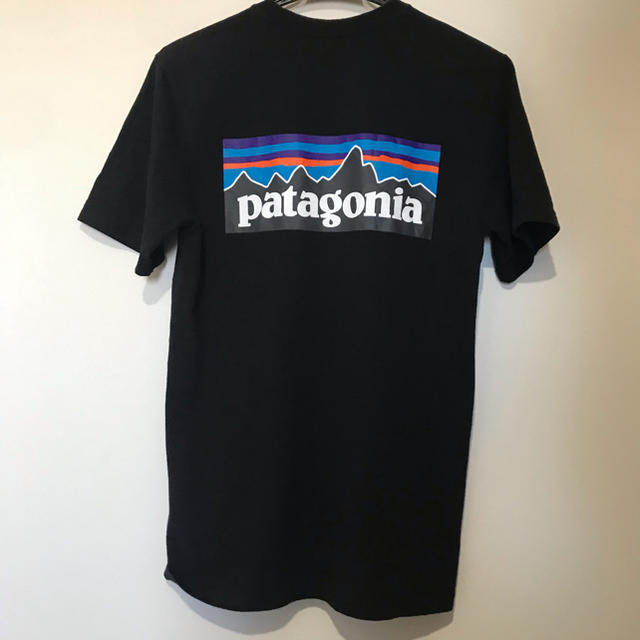 patagonia(パタゴニア)のパタゴニアバックプリントT レディースのトップス(Tシャツ(半袖/袖なし))の商品写真