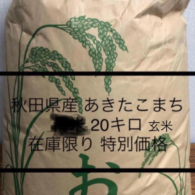 30年産　米/穀物　玄米　秋田県産　あきたこまち　20キロ