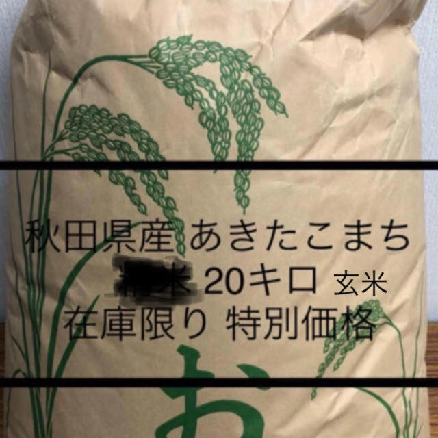 30年 秋田県産 あきたこまち 玄米 20キロ - 米/穀物