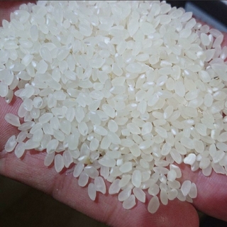 キヌヒカリH30年度産   米の冷蔵庫保管品！(米/穀物)