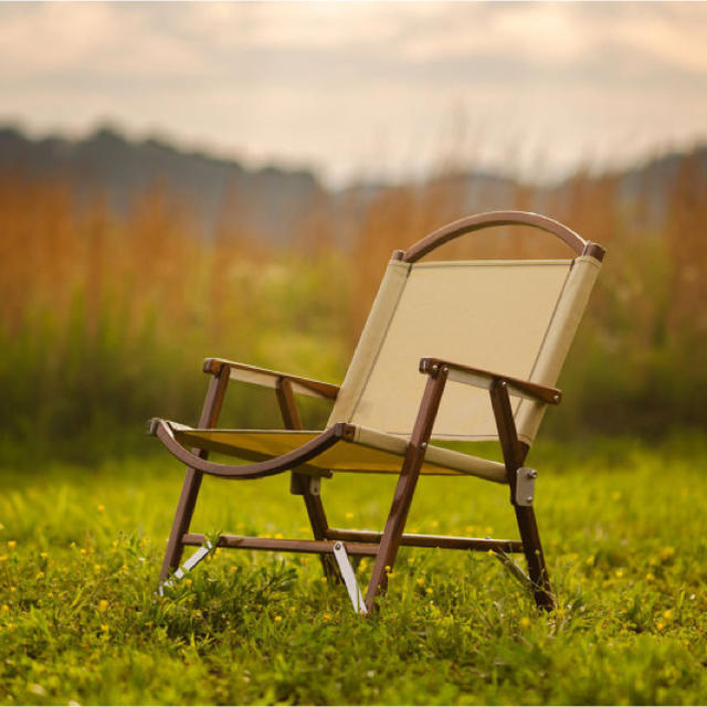 Kermit Chair　カーミットチェア(正規品)　2脚セット