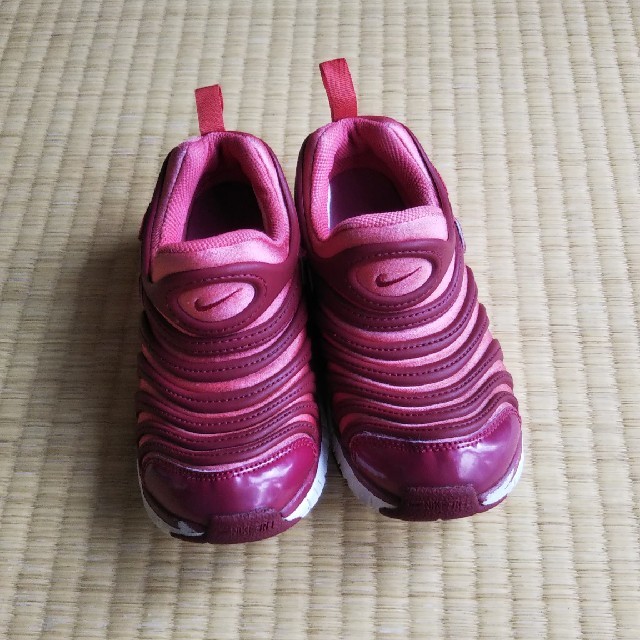 NIKE(ナイキ)のNIKE ダイナモ  19cm キッズ/ベビー/マタニティのキッズ靴/シューズ(15cm~)(スニーカー)の商品写真