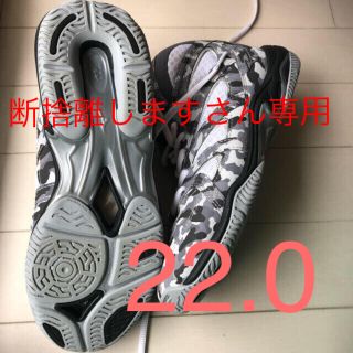 ミズノ(MIZUNO)のMIZUNO ウェーブダイバーズ  22.０(スニーカー)