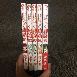 シトロン様 はたらく細胞 5巻バラ売り(少年漫画)