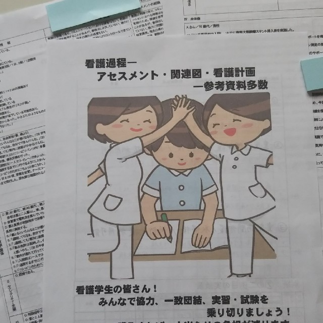 最大68％オフ！ 専用 看護学校 看護学生 手順書 看護過程 アセスメント 計画 国試 資料 pipestonehotsprings.com