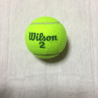 ウィルソン(wilson)の 有名メーカー　Wilson ウィルソン硬式用テニスボール　でございます。 (ボール)