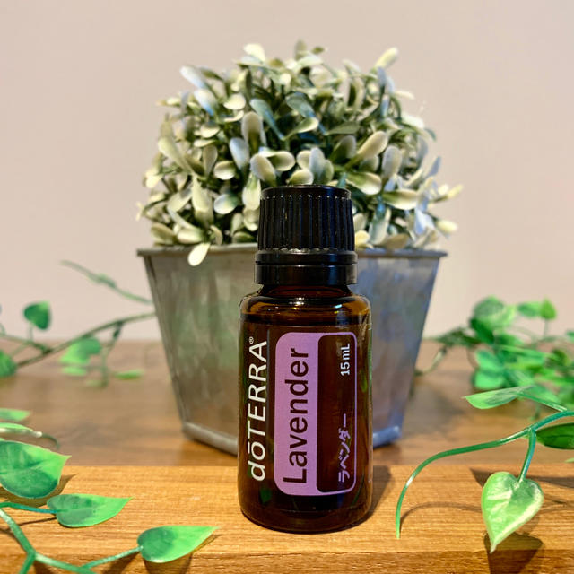 doTERRA ドテラ 15ml ラベンダー