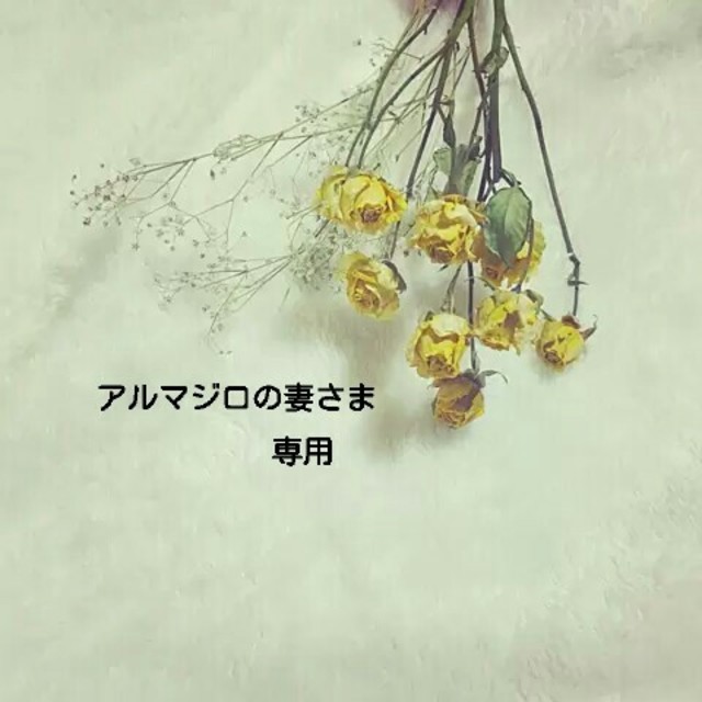 アルマジロ様専用。 gzerosolucoes.com.br