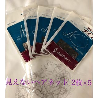 見えないヘアネット 2枚×5(その他)