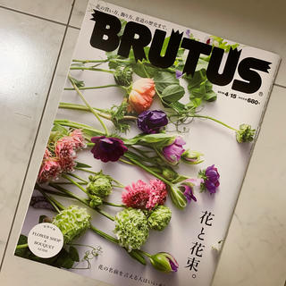 マガジンハウス(マガジンハウス)のBRUTUS (ブルータス) 2019年 4/15号 (料理/グルメ)