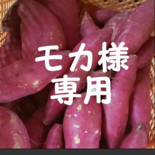 【モカ様専用】さつまいも ４種 ２キロ(野菜)