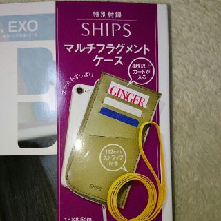 シップス(SHIPS)のSHIPS マルチフラグメントケース(名刺入れ/定期入れ)