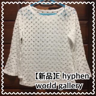 イーハイフンワールドギャラリー(E hyphen world gallery)の【新品】E hyphen world gallery 透かし編みニット(ニット/セーター)