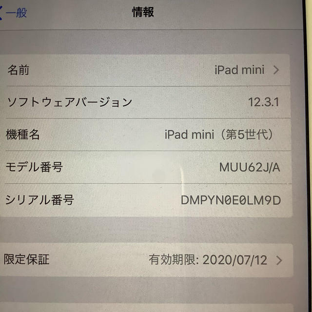 ipad mini  wifi 256GB