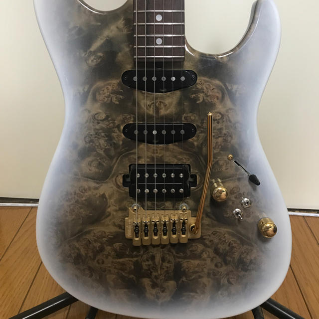 【T's Guitars Custom Order 】ティーズギター/激鳴り！