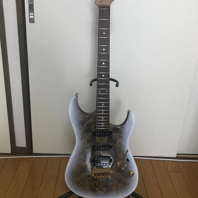 【T's Guitars Custom Order 】ティーズギター/激鳴り！ 楽器のギター(エレキギター)の商品写真
