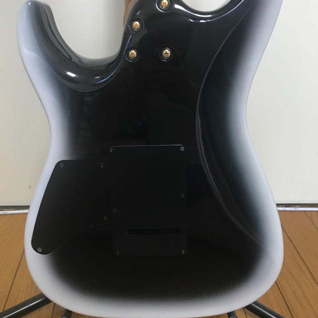 【T's Guitars Custom Order 】ティーズギター/激鳴り！ 楽器のギター(エレキギター)の商品写真