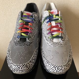 ナイキ(NIKE)の超希少29cm‼️AIR MAX1 TOKYO MAZE(スニーカー)