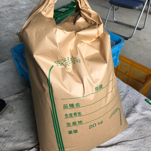 徳島県産キヌヒカリ 令和1年度 新米 20kg 玄米