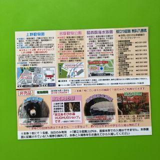 上野動物園 多摩動物公園 共通入場引換券(遊園地/テーマパーク)