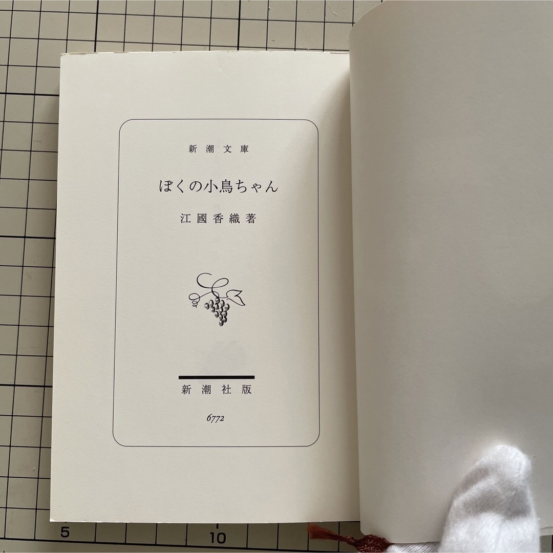 ぼくの小鳥ちゃん エンタメ/ホビーの本(ノンフィクション/教養)の商品写真