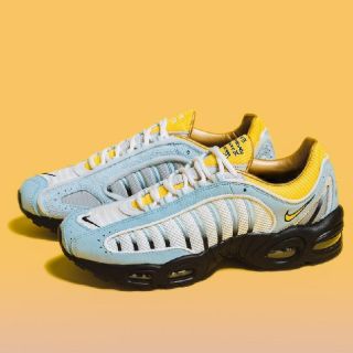 ナイキ(NIKE)のAir Max Tailwind IV 20周年記念 snsコラボ (スニーカー)