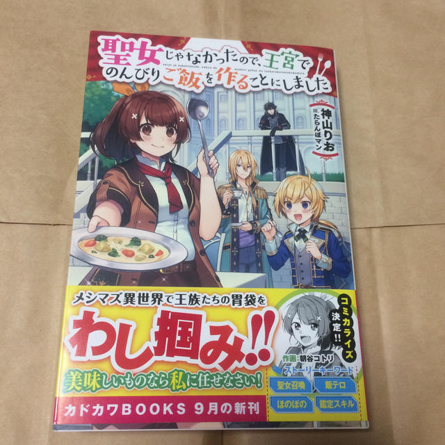 聖女 じゃ なかっ た ので 王宮 で のんびり ご飯 を 作る こと に しま した 小説