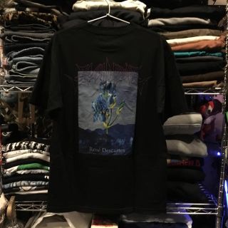 ジョンローレンスサリバン(JOHN LAWRENCE SULLIVAN)のavalon　tee(Tシャツ/カットソー(半袖/袖なし))