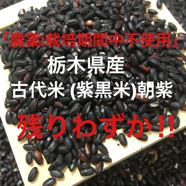 栃木県産 古代米(黒米) 500g 「農薬:栽培期間中不使用」 食品/飲料/酒の食品(米/穀物)の商品写真