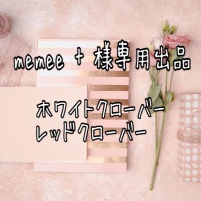 memee + 様専用出品 ハンドメイドのフラワー/ガーデン(その他)の商品写真