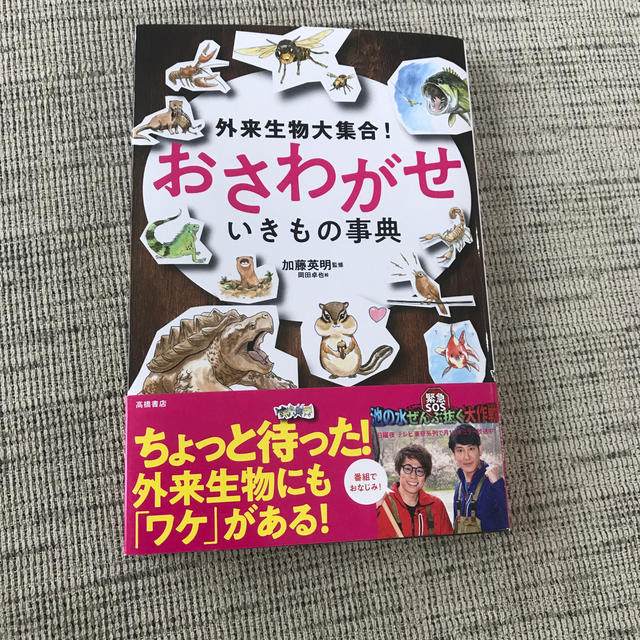 外来生物大集合！おさわがせいきもの事典 エンタメ/ホビーの本(絵本/児童書)の商品写真