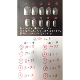 ネイルチップ Ｎｏ．19 コスメ/美容のネイル(つけ爪/ネイルチップ)の商品写真