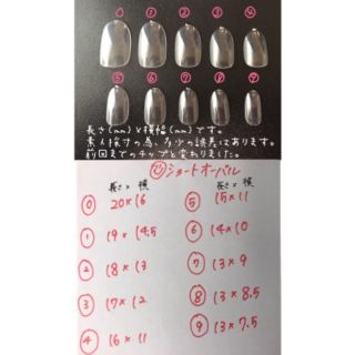 ネイルチップ Ｎｏ．19 コスメ/美容のネイル(つけ爪/ネイルチップ)の商品写真