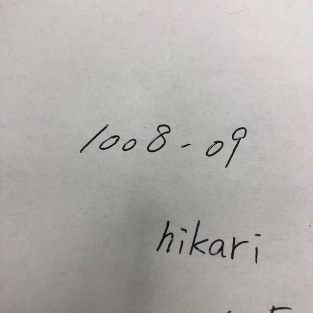 1008-09 hikari専用