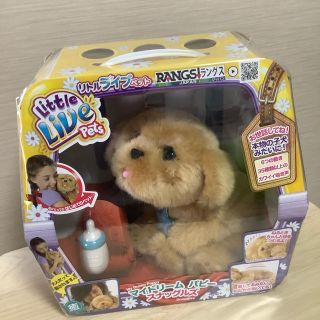 ラングスジャパン(RANGS) マイドリームパピー スナッグルズ  ぬいぐるみ(ぬいぐるみ)