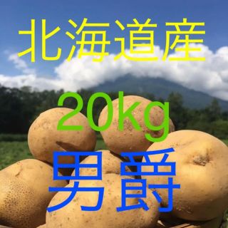 北海道産 わけありじゃがいも  男爵 20kg(野菜)