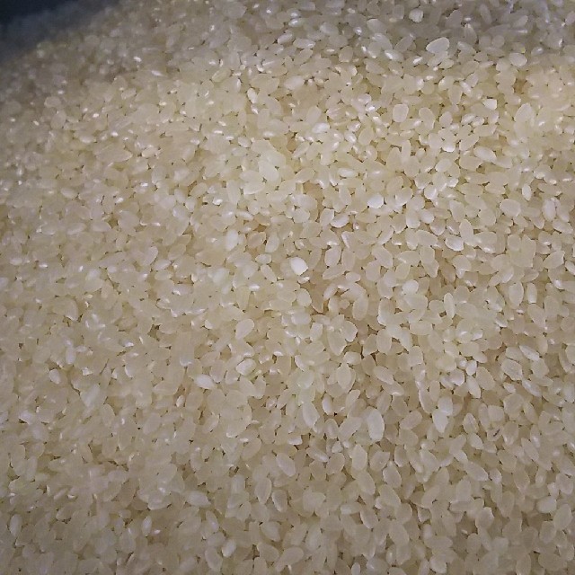 令和元年度南魚沼産コシヒカリ 中粒米20kg お得な価格の訳あり米