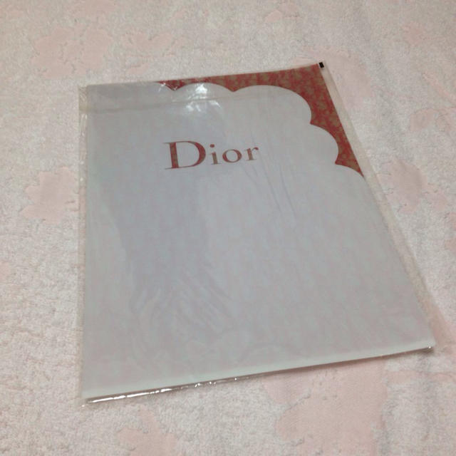 Dior(ディオール)のDiorクリアファイル インテリア/住まい/日用品のオフィス用品(オフィス用品一般)の商品写真