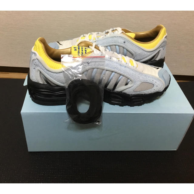 NIKE(ナイキ)のNike Air Max Tailwind 4 SNS 20th 25.5 メンズの靴/シューズ(スニーカー)の商品写真