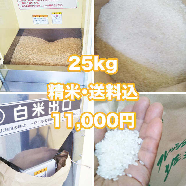 高知県産 新米 玄米30kg 精米込み ※高知市内配達分 - 米/穀物