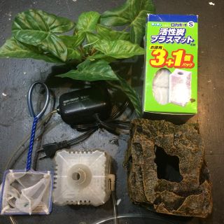 金魚 水槽セット|ＧＥＸロカボーイＳ　水中フィルター付(アクアリウム)