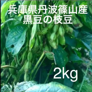 丹波篠山産 黒枝豆さやのみ2kg (野菜)