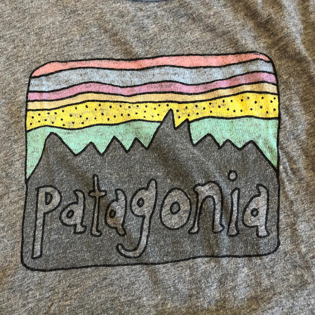 patagonia(パタゴニア)のパタゴニアＴシャツ キッズ/ベビー/マタニティのキッズ服男の子用(90cm~)(Tシャツ/カットソー)の商品写真