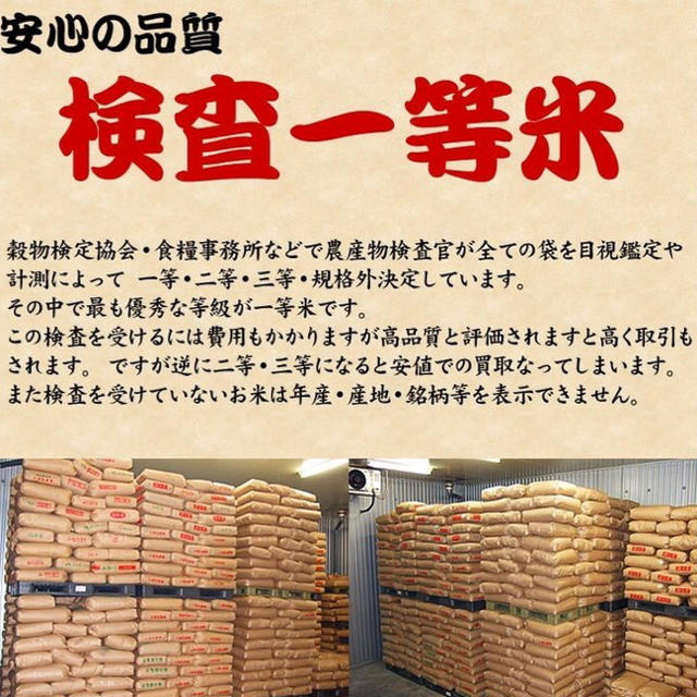 お米 令和元年産 白米 コシヒカリ 10kg 10キロ 福井県産 福井米 食品/飲料/酒の食品(米/穀物)の商品写真