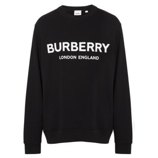 バーバリー(BURBERRY)のBurberry スウェットシャツ バーバリー トリーナー Mサイズ(スウェット)