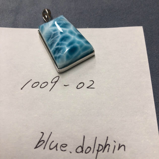 1009-02 dolphin専用