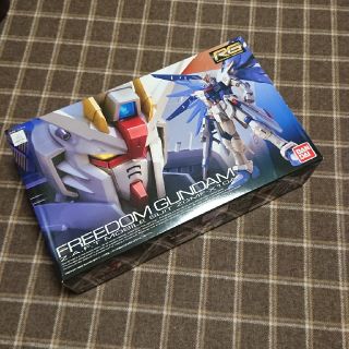 リアルグレード フリーダムガンダム 未組立ガンプラ(プラモデル)