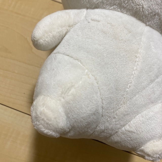 えびちゅの通販 by あいぷに's shop｜ラクマ